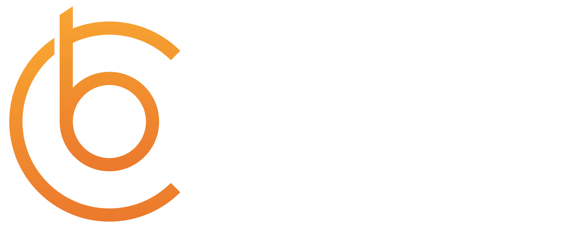 BC Datalytics Logo White